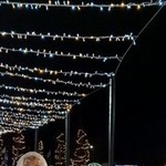 ludmila, 71