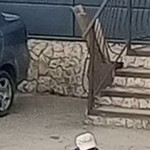 , 24 (1 , 0 )