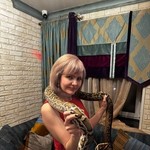 ��������, 43