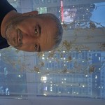 Zaur Mirzai, 43 (2 ����, 0 �����)